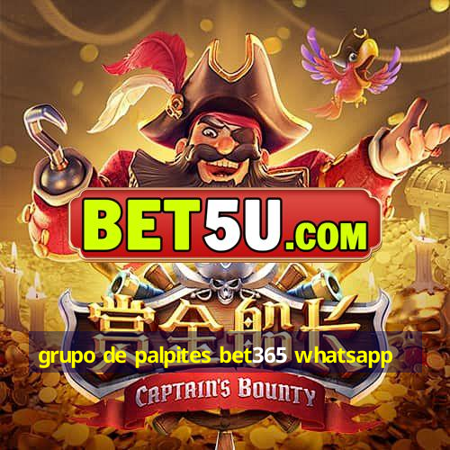 grupo de palpites bet365 whatsapp